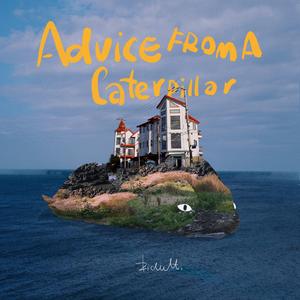 永久网址在线观看
